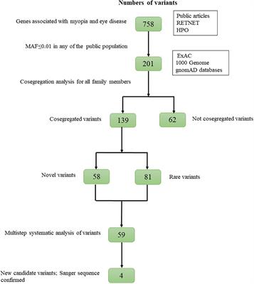 Whole-Exome Sequencing in a Cohort of High Myopia Patients in Northwest China